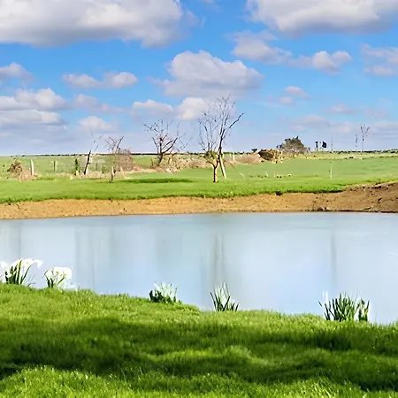 Maison Charmante A Ombree D'anjou Avec Jardin Et Terrasse Tatil Evi *